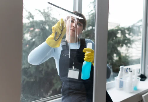 Nettoyage de vitres intérieures et extérieures à Caubios-Loos